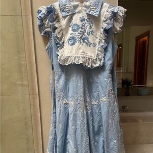 Embroidered Blue Midi Dress